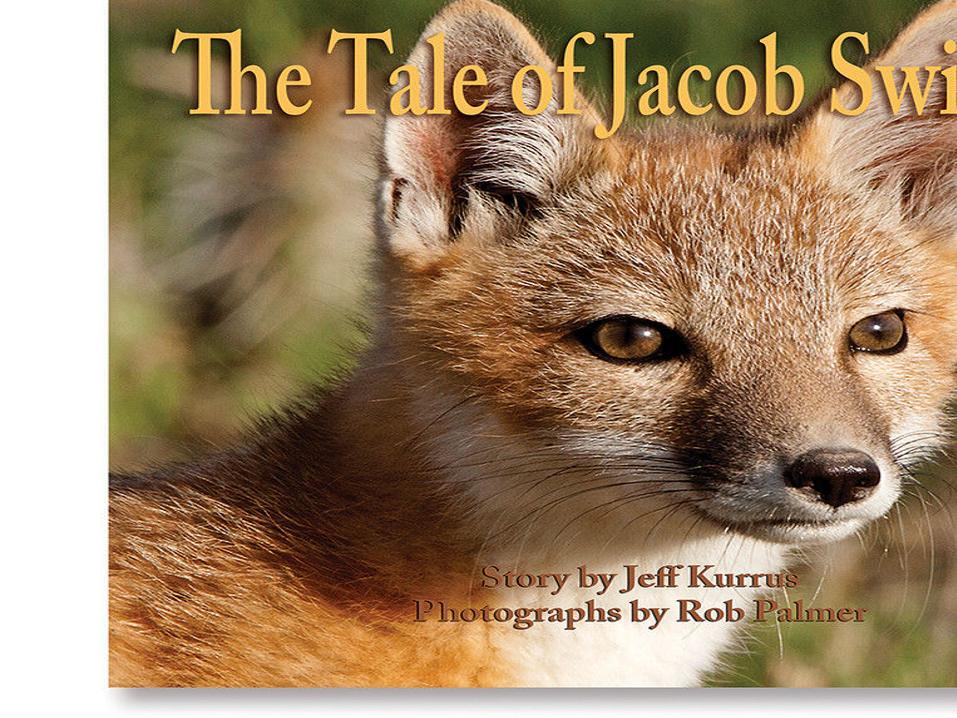 Author Of Swift Fox Children S Book To Speak At Csc Chadron Rapidcityjournal Com