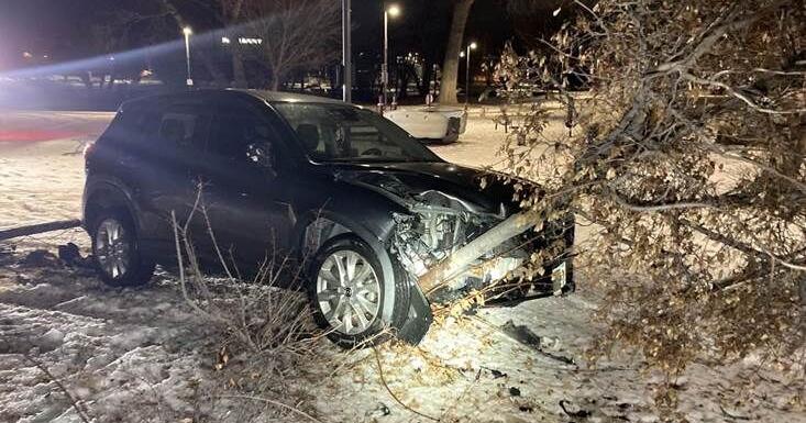 Man arrested after crashing into tree in Rapid City