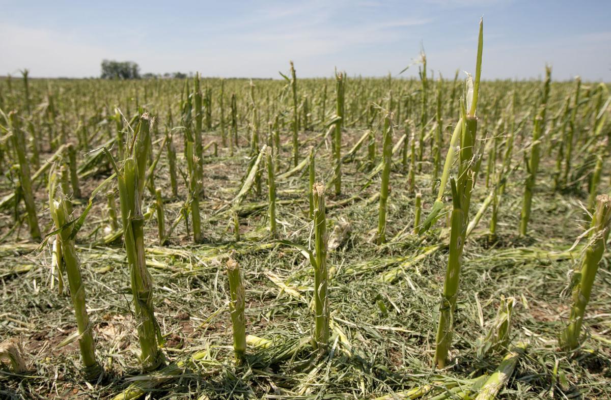 072017-nws-hail 007.JPG