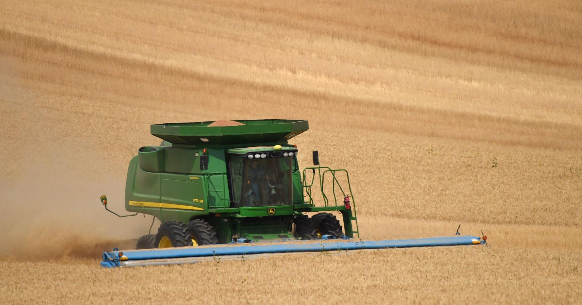 Montana wheat bounces back after tough drought years - Vimarsana News