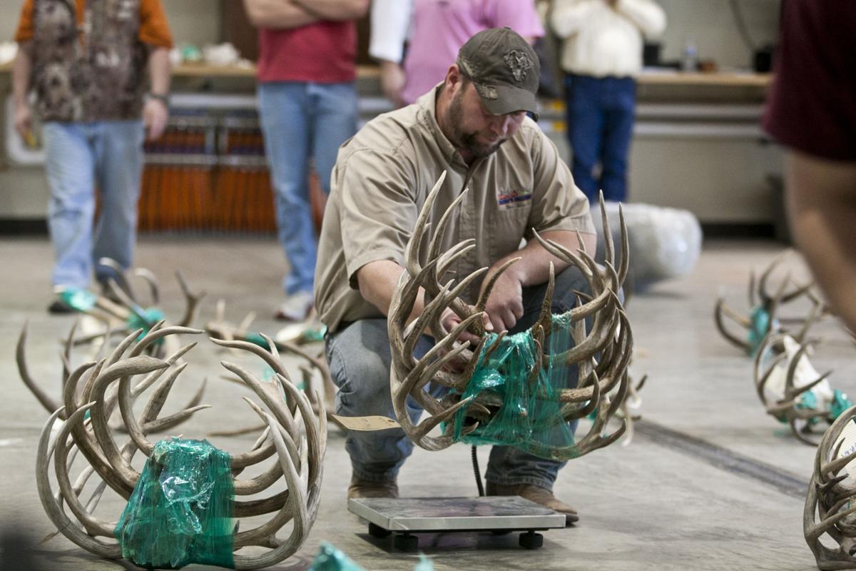 Antler auction brings out businessmen Local