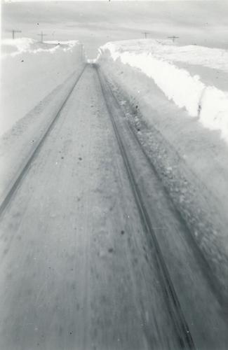 RR19.jpg