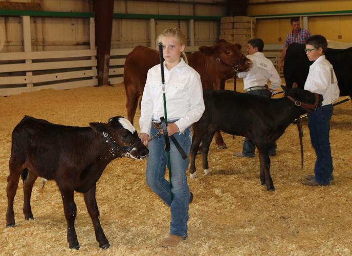 Dawes County Fair Results