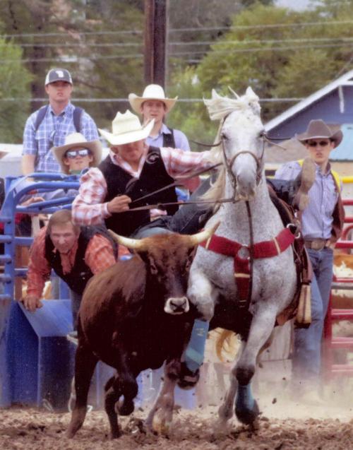 Csc Cowboy Wins Steer Wrestling Inwyoming Chadron Rapidcityjournal Com