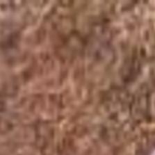 Big Fish A Recent Trip To The Generally Serene Canyon Lake In Rapid City Landed Ray Bollinger The Biggest Fish Of His Fishing Career And He Likely Has Cleghorn Springs State Fish