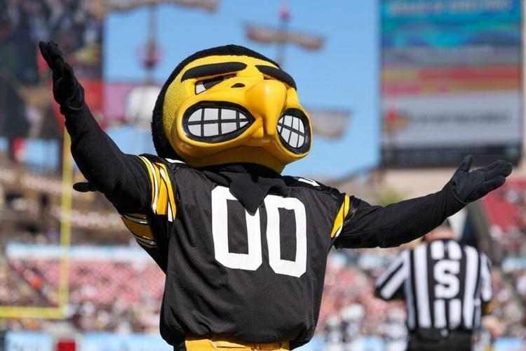 Dec 31, 2025; Tampa, FL, USA; Iowa Hawkeyes mascot Herky the Hawk reacts after a play against the Vanderbilt Commodores in the second quarter during the ReliaQuest Bowl at Raymond James Stadium. Mandatory Credit: Nathan Ray Seebeck-Imagn Images