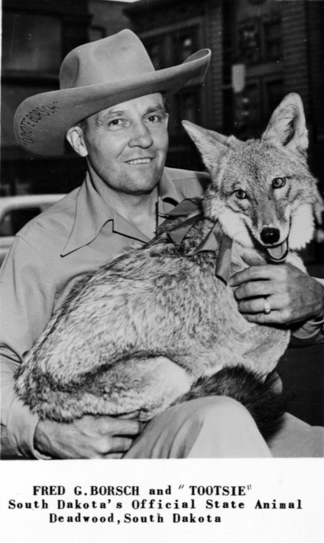 Coyote has a long history in South Dakota Sturgis