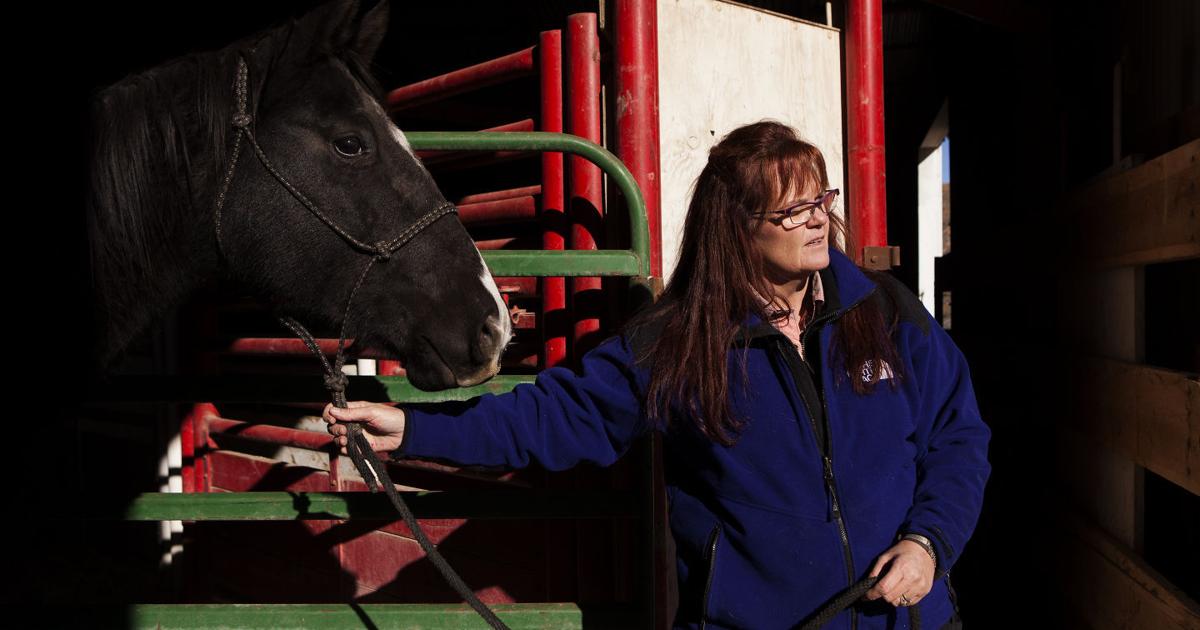 Miriam Ritter Healing through horses