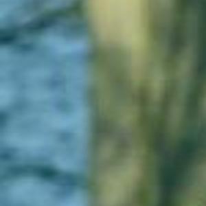 R C Athletes Star In Sioux Falls Local Sports Rapidcityjournal Com Home of the rc athletes! r c athletes star in sioux falls