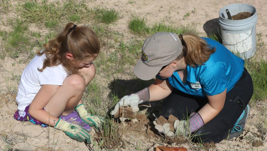 Wildflower Week