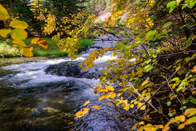 Little Spearfish Creek.jpg