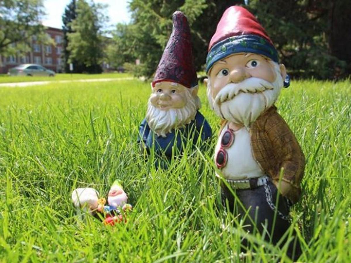 Download Gnomes Passport Program To Acquaint Students With Campus And Community Chadron Rapidcityjournal Com