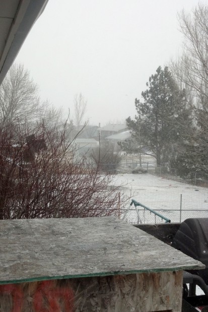 011113-reader snow001