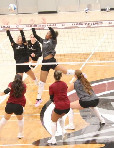 CSC VB Scrimmage OK _0031.JPG