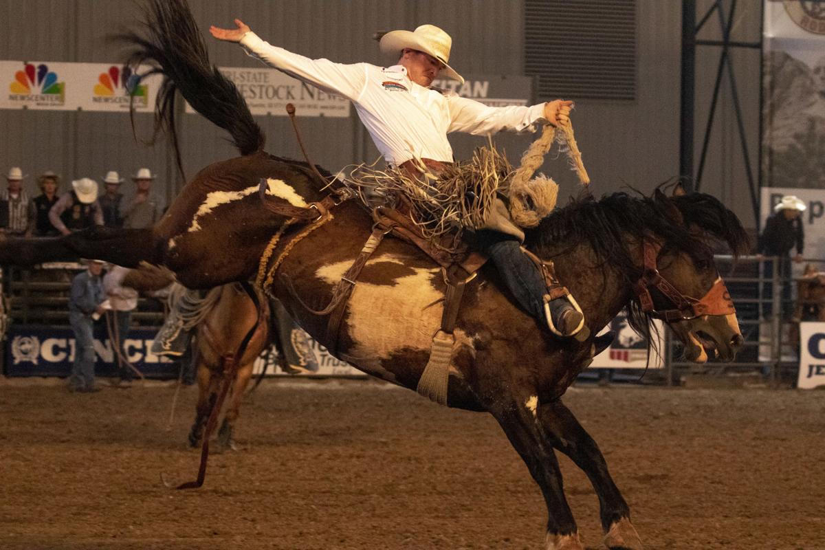Several area cowboys, cowgirls in contention for NFR ...