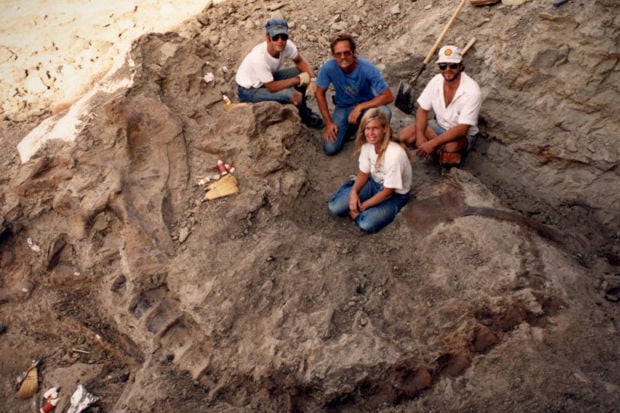 5 Tyrannosaurus Rex Discoveries In The Hell Creek Formation | Rcj ...