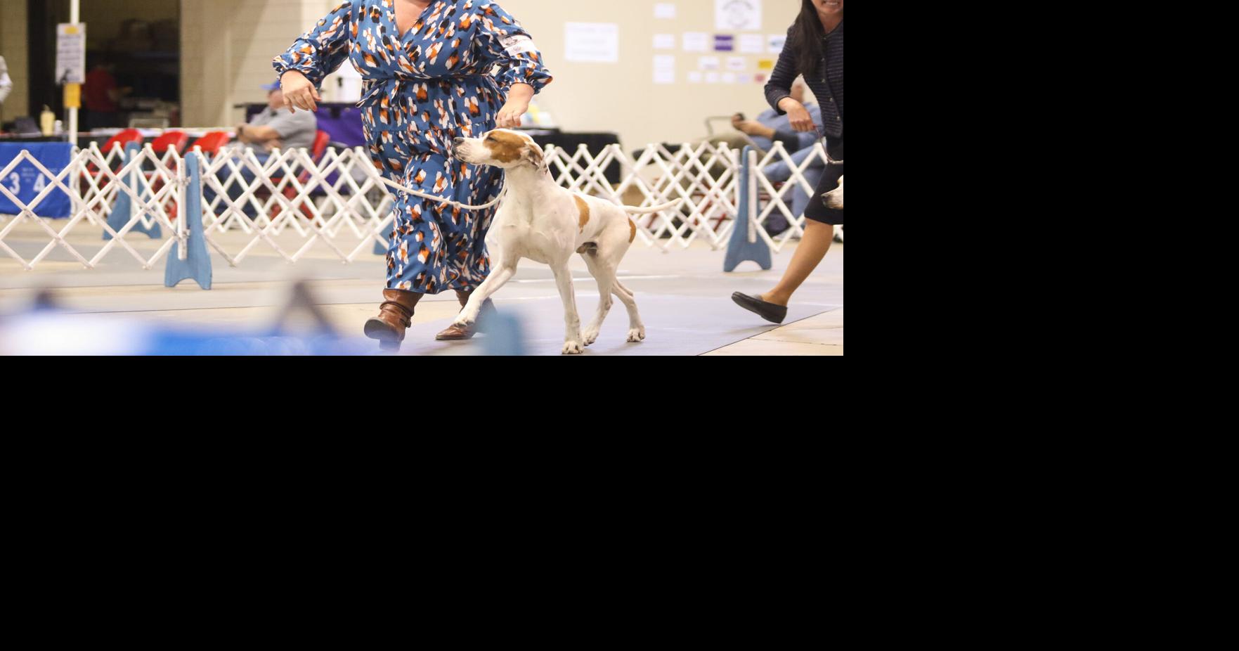 Rapid City's annual all-breed dog show