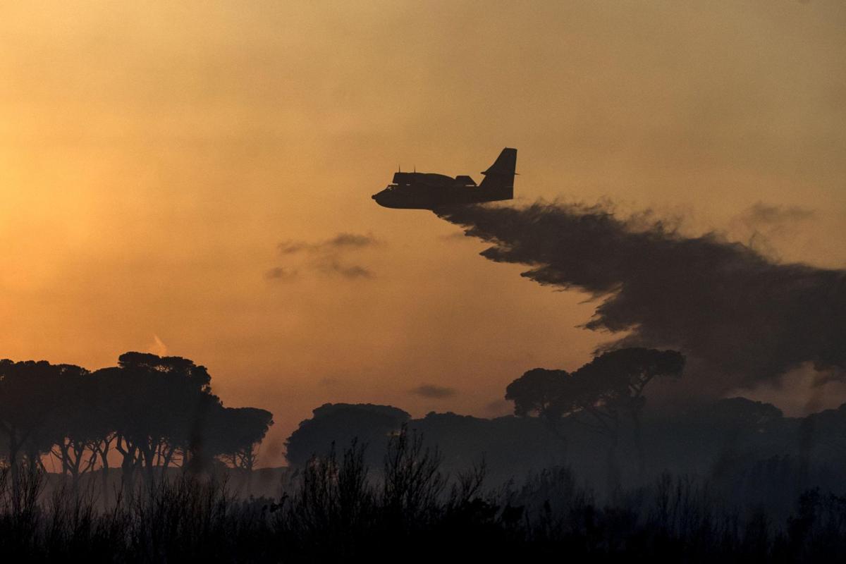 Italy Wildfires