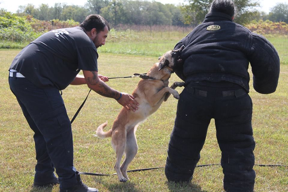FBI Murders down 80 on Pine Ridge following methfueled spike in 2016
