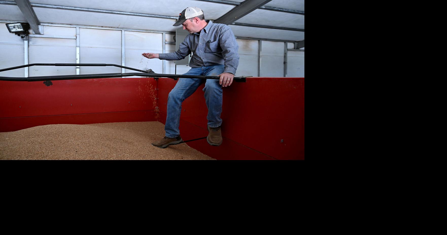 Drought makes conditions dire for US farmers facing high fertilizer costs