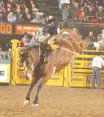 PRCA rodeo: Quinn cowboy among best in saddle bronc