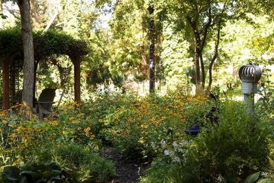 Master Gardener: Exploring the challenges in the garden