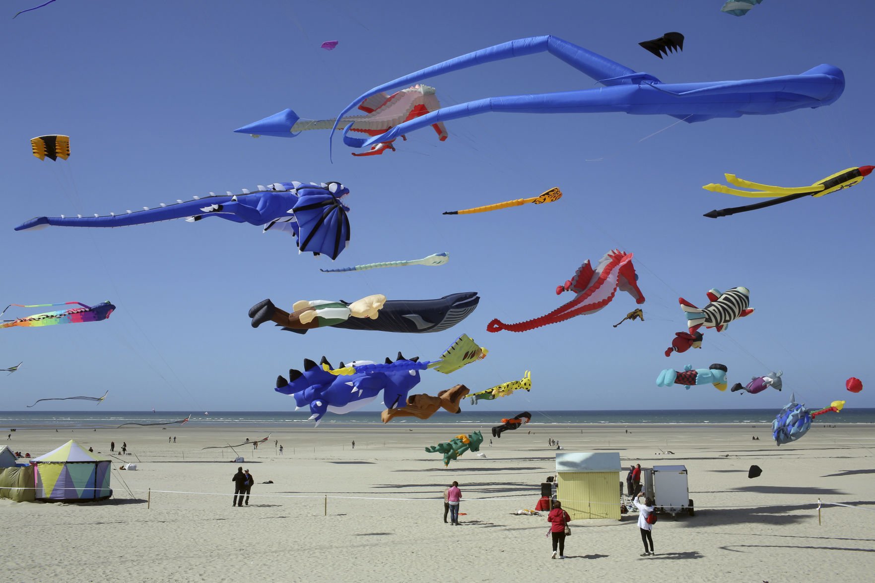 kite 2014 french