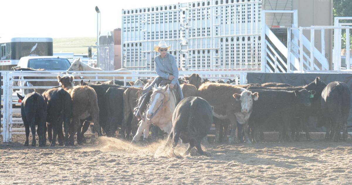 Mike Zebarth Rodeo SBHS rodeo team members headed to nationals