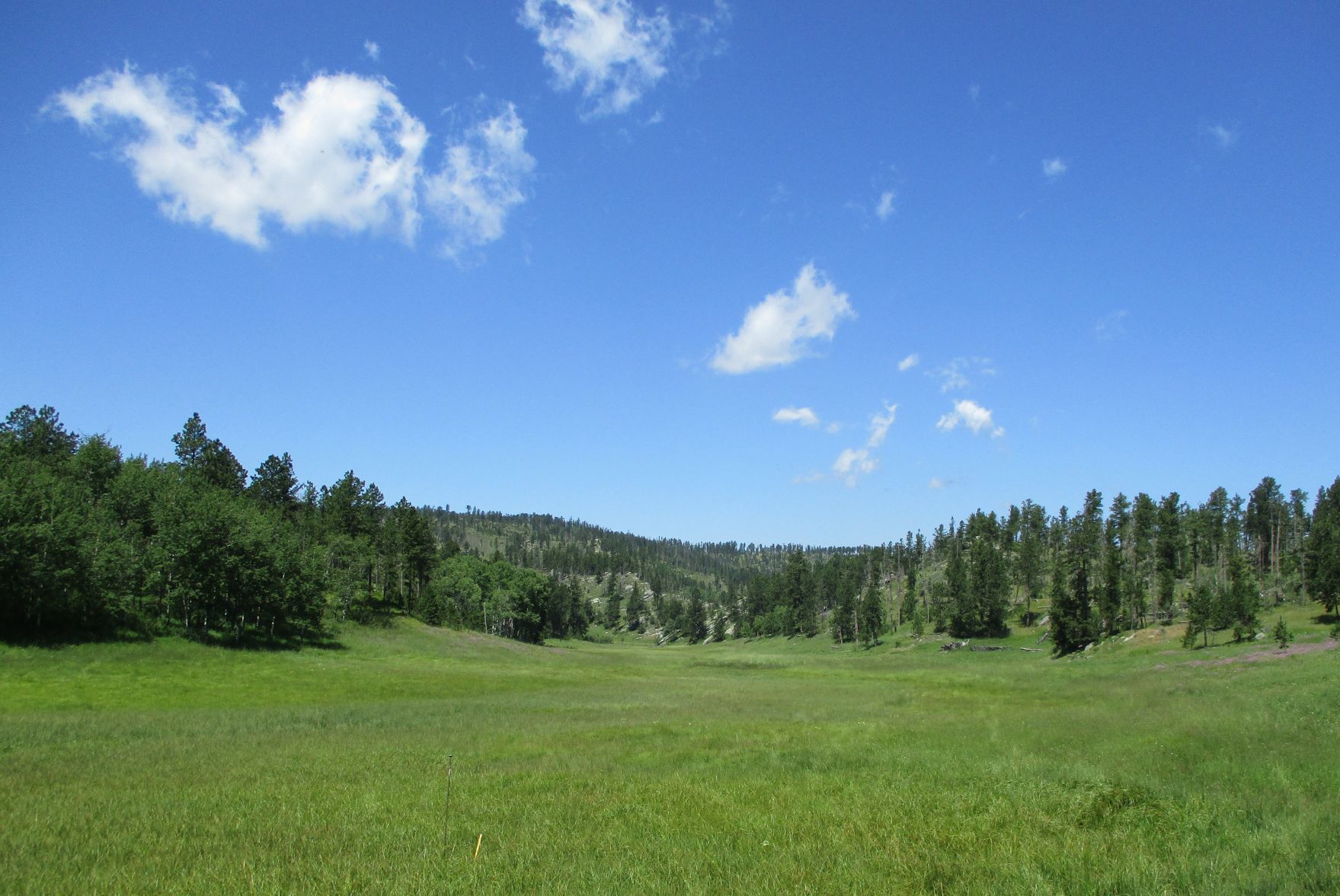 black hills national forest hotels