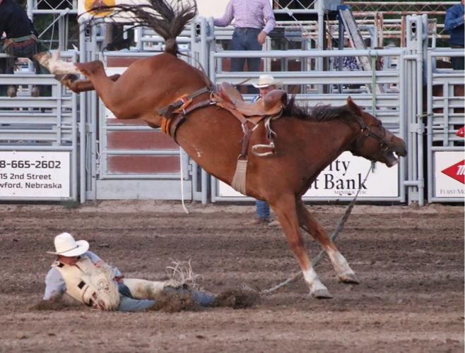 Rodeo--Uptain bucked off--best _0045.JPG