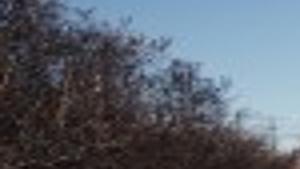 Sweat Lodge Users Upset Over Fee News Rapidcityjournal Com