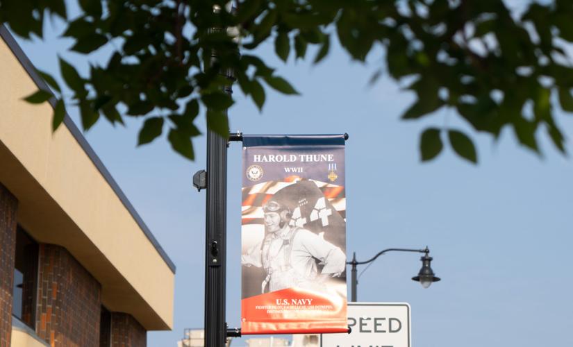 Thune Banner and Trees