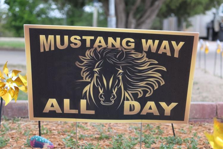 COPYRIGHT RESTRICTED School sign.jpg