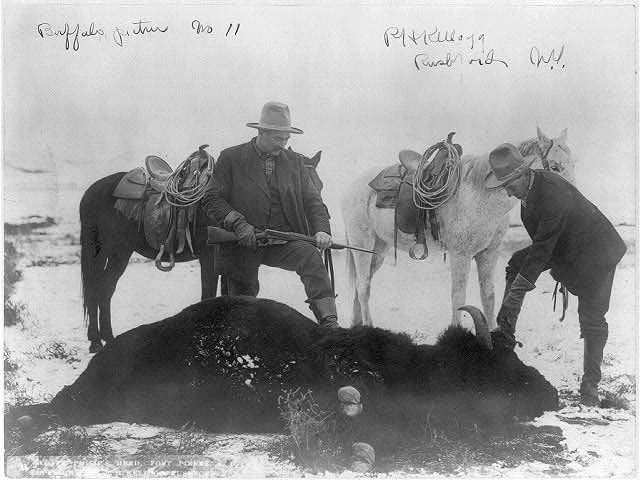 tilbagebetaling ånd Tilhører Buffalo hunted near extinction in 1800s | Local | rapidcityjournal.com