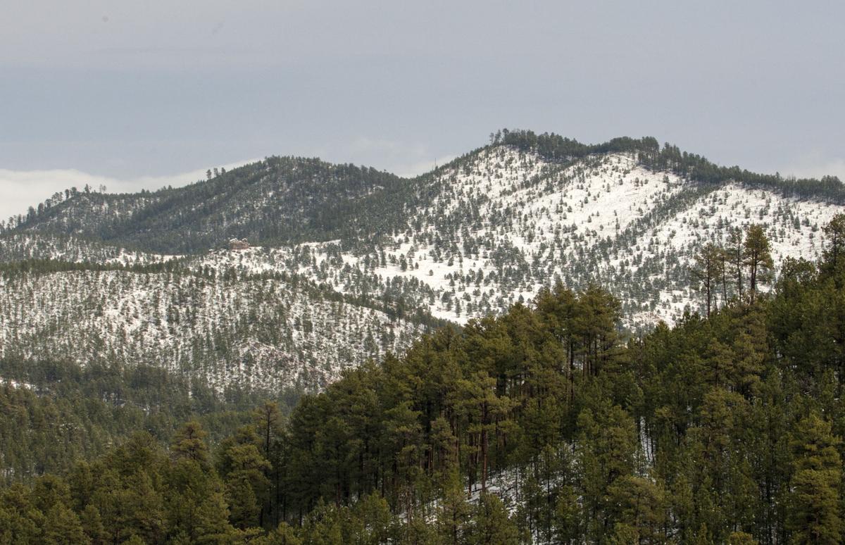 PHOTOS Snow scenes from Custer State Park Photos