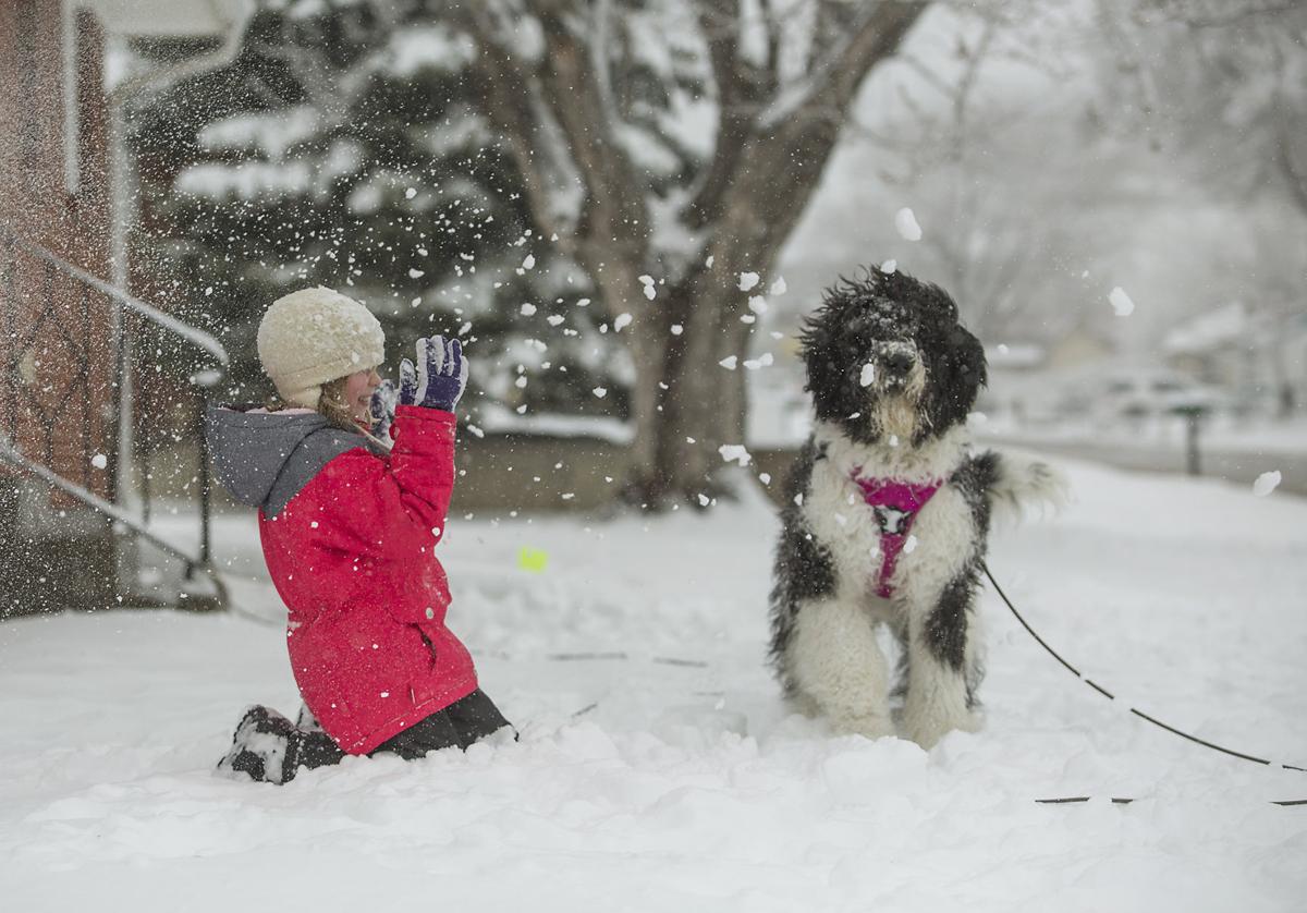 Update Storm Brings 10 Inches Of Snow In Rapid City So Far