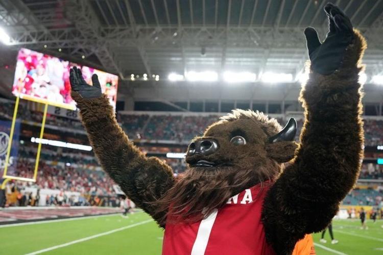Jan 19, 2026; Miami Gardens, FL, USA; Indiana Hoosiers mascot Hoosier the Bison on the field before the CFP National Championship college football game between the Indiana Hoosiers and the Miami Hurricanes at Hard Rock Stadium. Mandatory Credit: Kirby L...