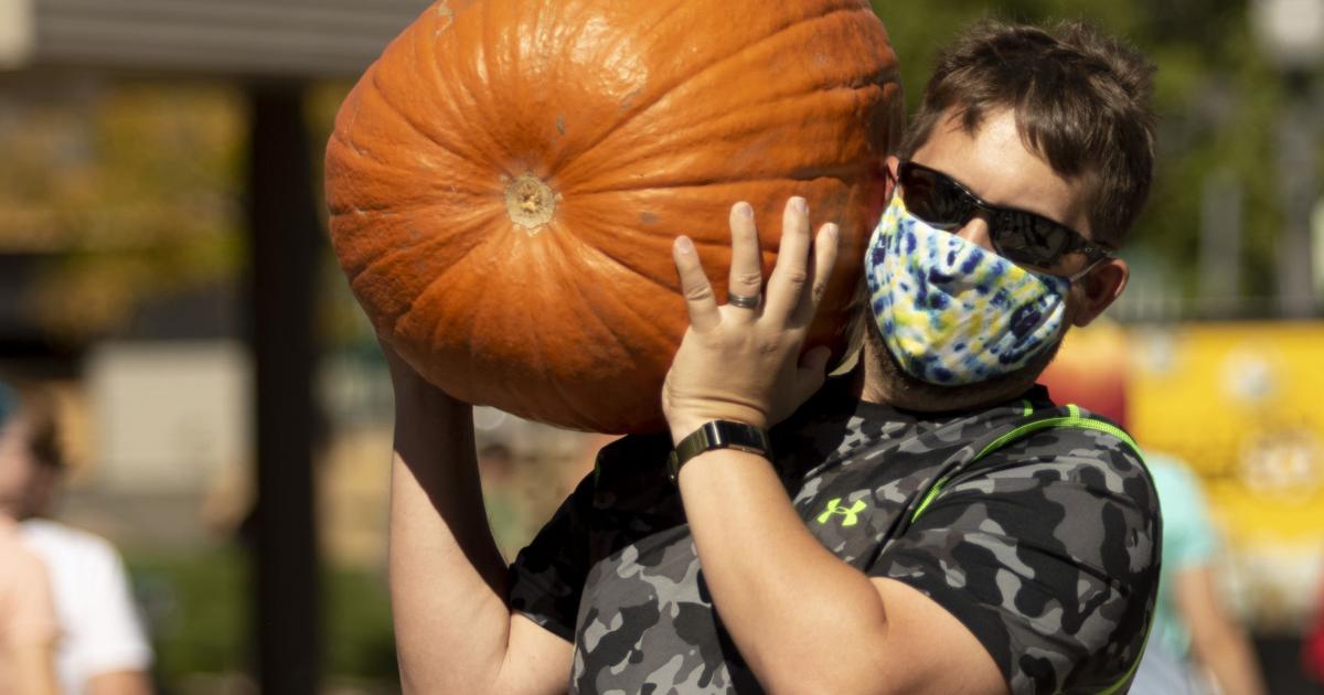 Welcome fall with pumpkin festival fun
