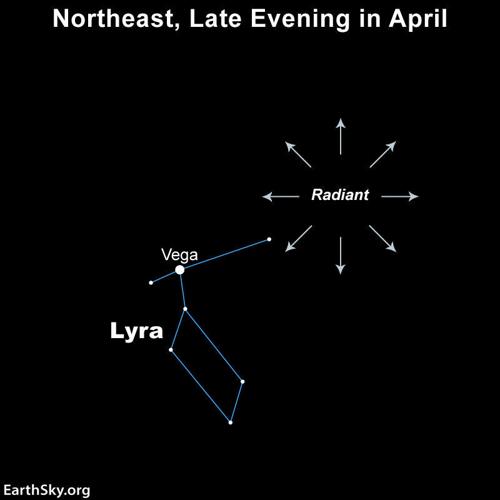 Constellation Lyra