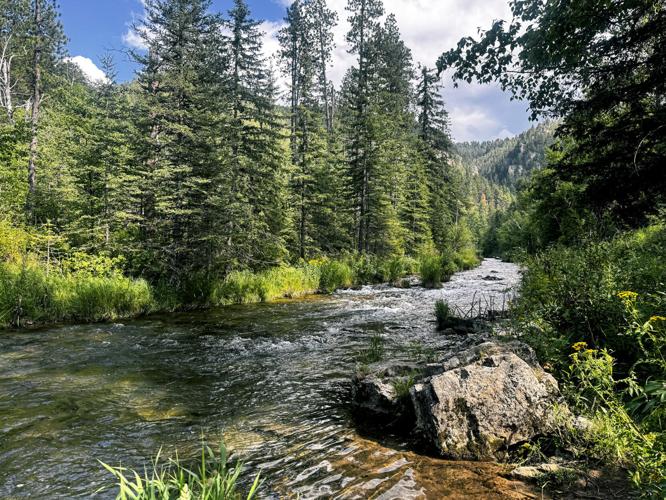 Spearfish Canyon.jpg