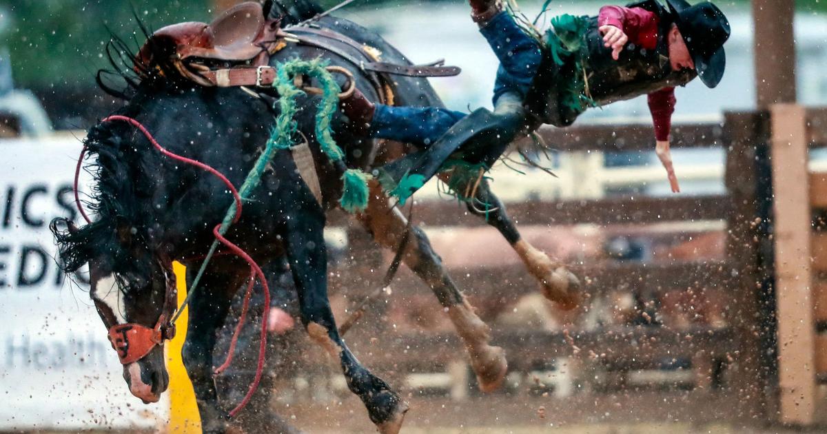 Days of '76 Rodeo: Portenier wins bull riding