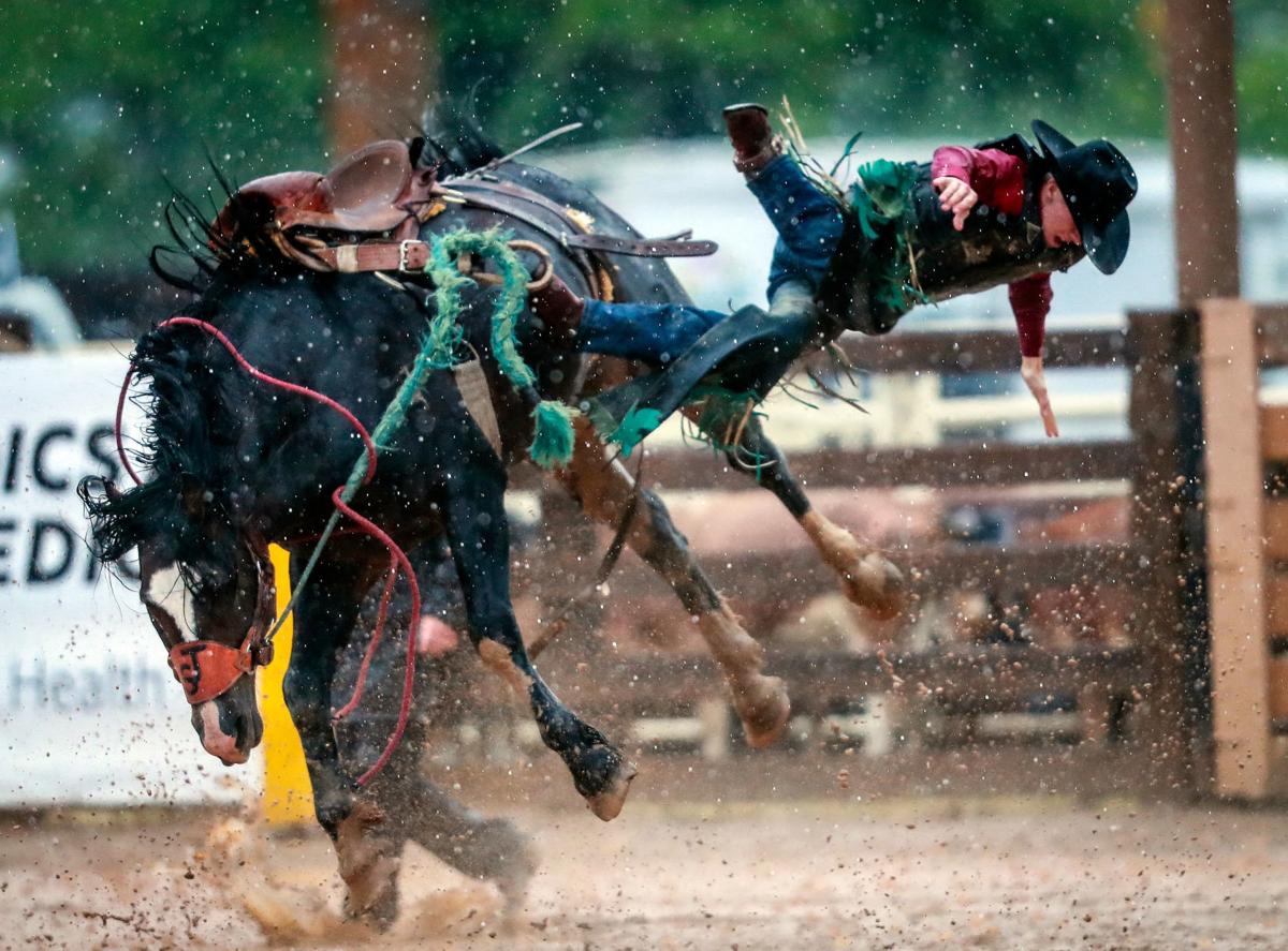 Days of '76 Rodeo Portenier wins bull riding Sports