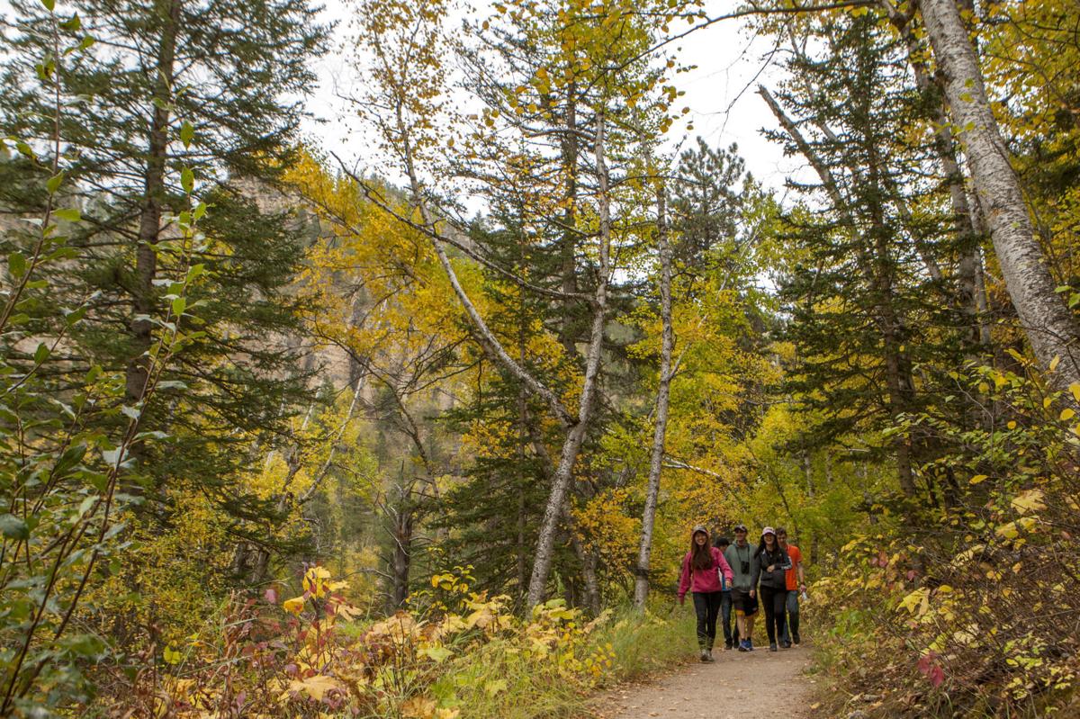 5 hikes to take in Spearfish Canyon Local