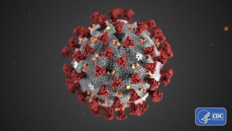 Coronavirus Image