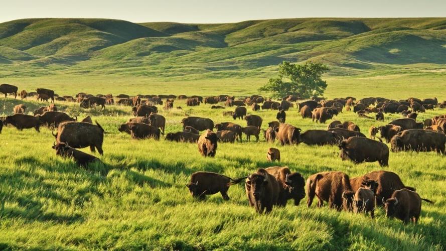 McGinley Ranch