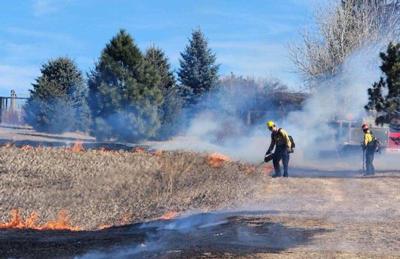 Firefighters respond to grassfire at Thomson Park