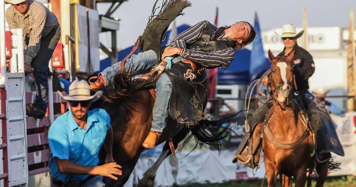 Wild West Wednesdays is a welcome introduction to rodeo for many