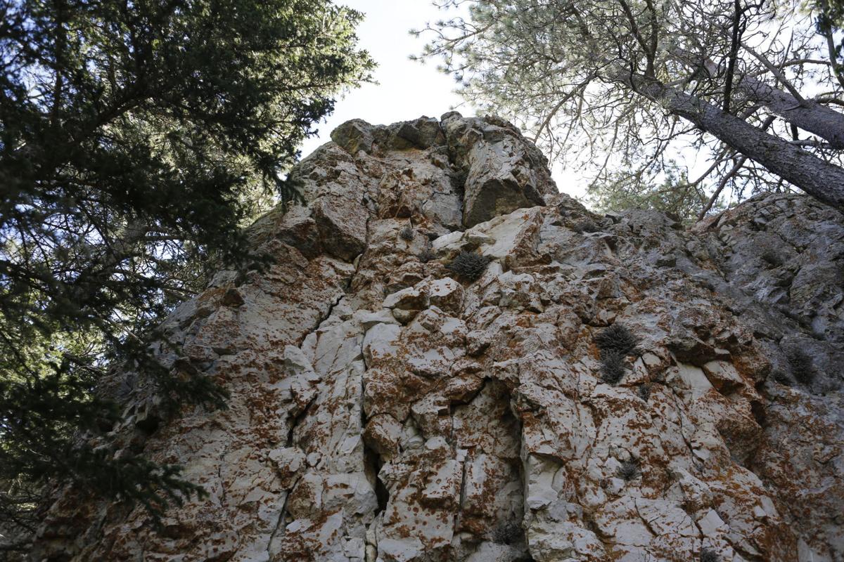 Eight Over Seven No. 5, Crooks Tower Local