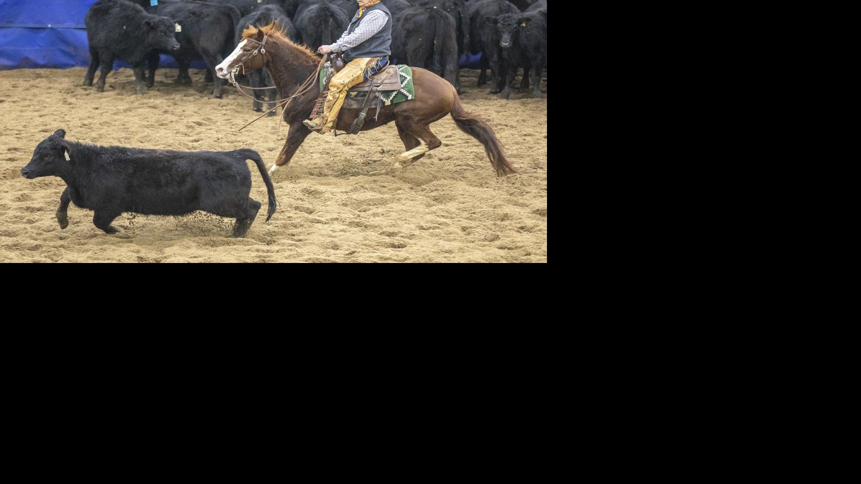 PHOTOS Cutting horse competition comes to Rapid City Local