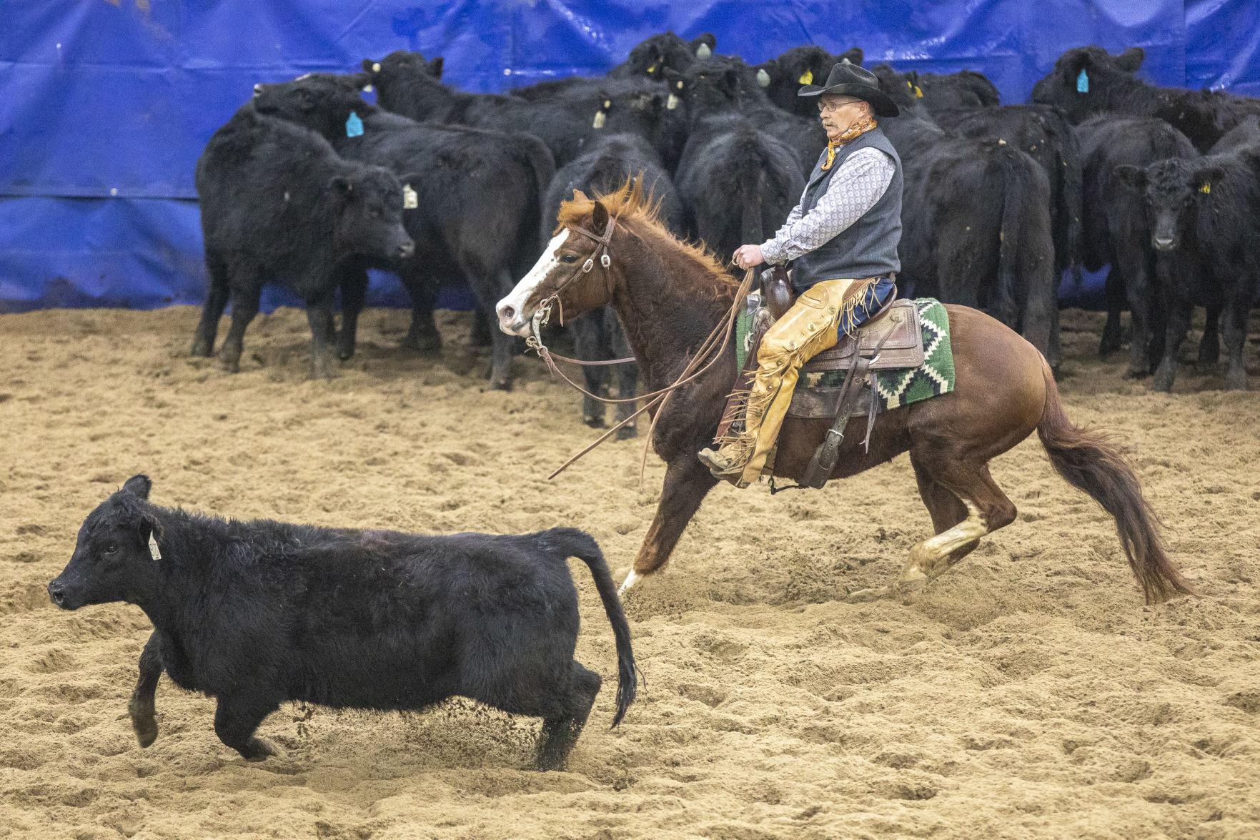 PHOTOS Cutting horse competition comes to Rapid City